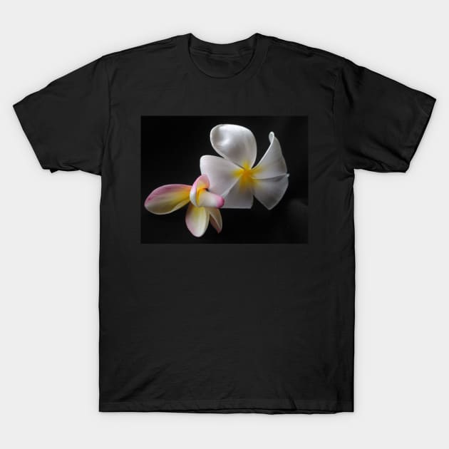 Frangipani dua T-Shirt by E-ShirtsEtc